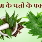 neem-ke-patte-ke-fayde